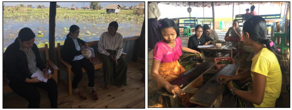 Inle Gölü ve Sint Kaing bucağındaki Sunn Ye Inn Gölü’nde yapılan ana kaynak mülakatları